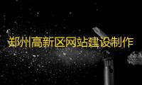 郑州高新区网站建设制作公司 河南智韬信息科技公司